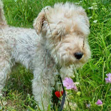 E&N Tapetserare & Inredning AB