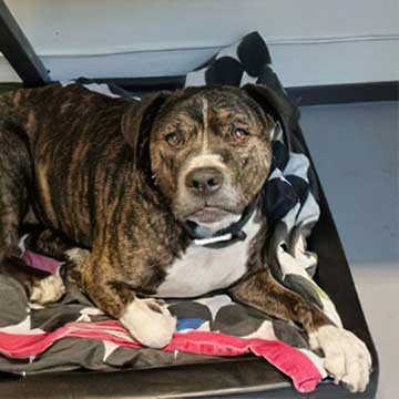 E&N Tapetserare & Inredning AB